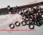 Art. T069 Ghiera albero coda cambio dx ( M. mm 22 x 1,5 )